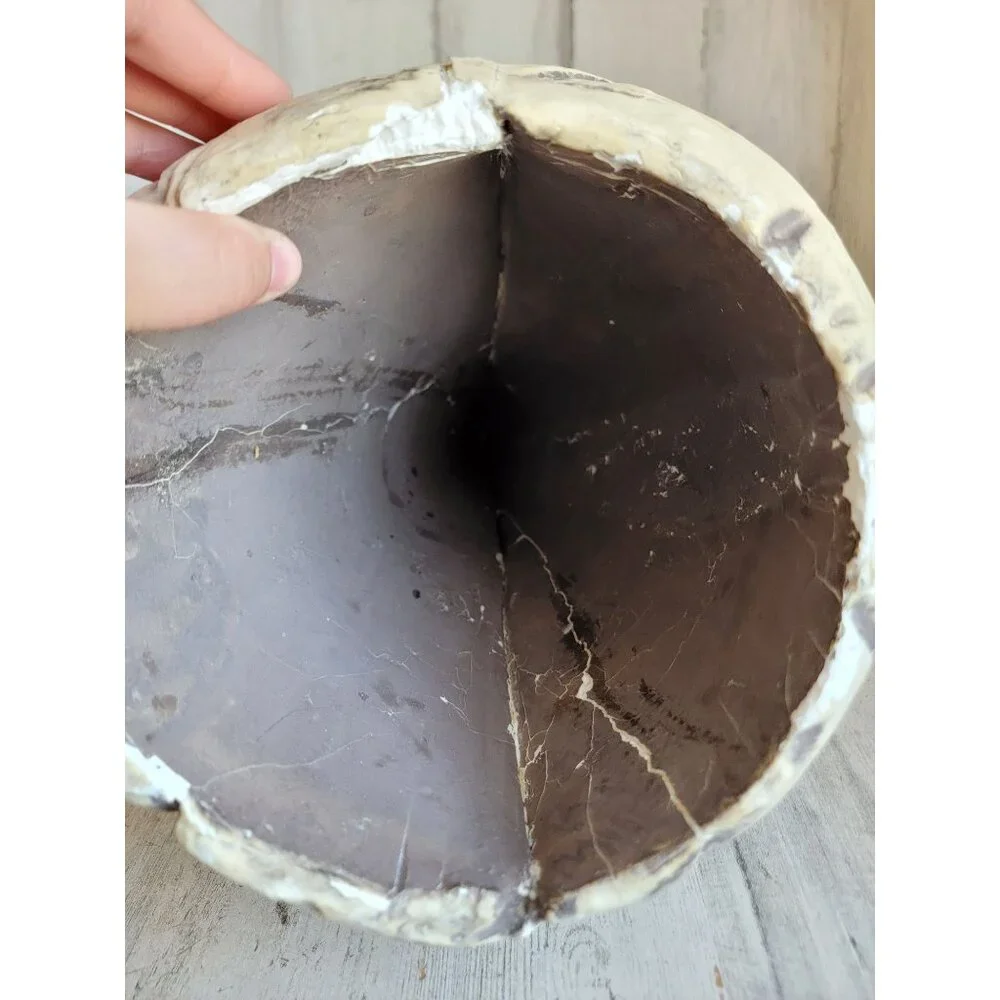 Skull large foam AS IS head Halloween prop home decor bowl unique‎